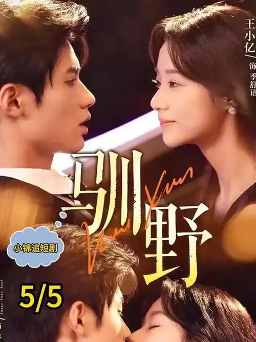无双 短剧 2024 赵华为